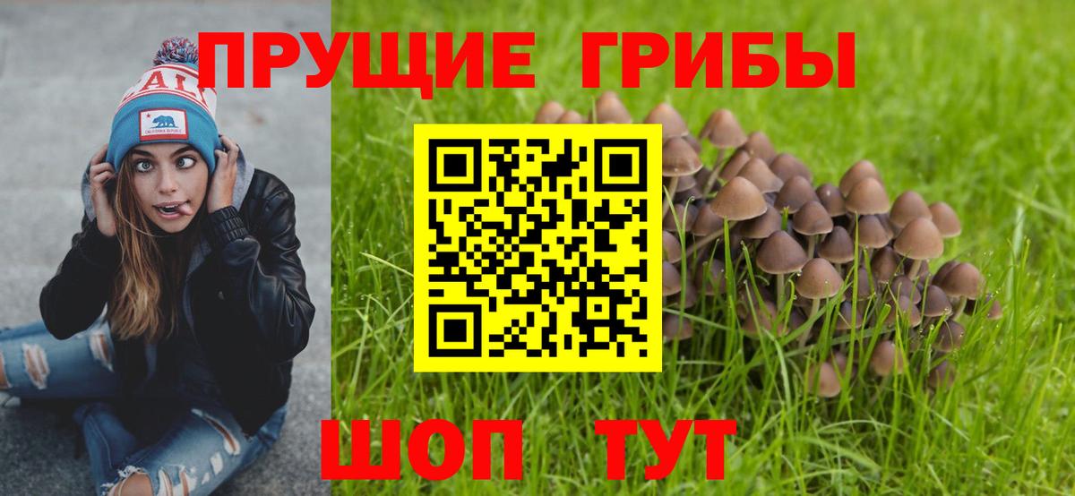 Электросталь  Галлюциногенные грибы мухоморы  Галлюциногенные грибы GOLDEN TEACHER  Вход с VPN 