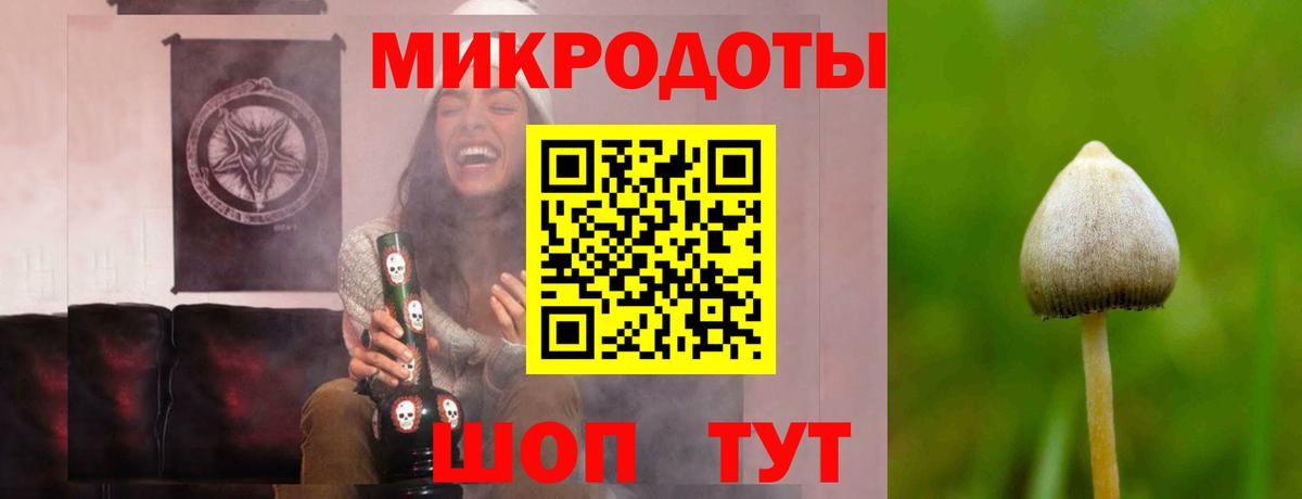 Галлюциногенные грибы Psilocybe Электросталь